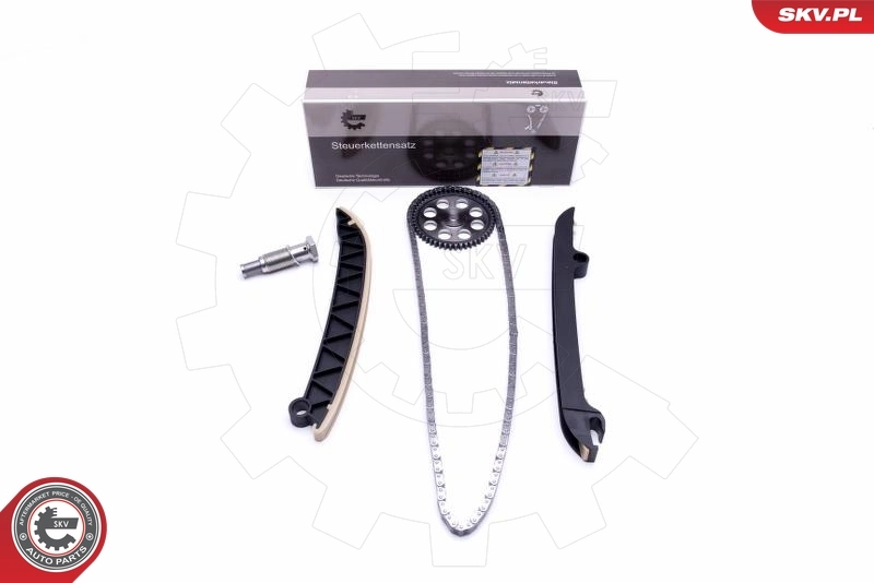Timing Chain Kit